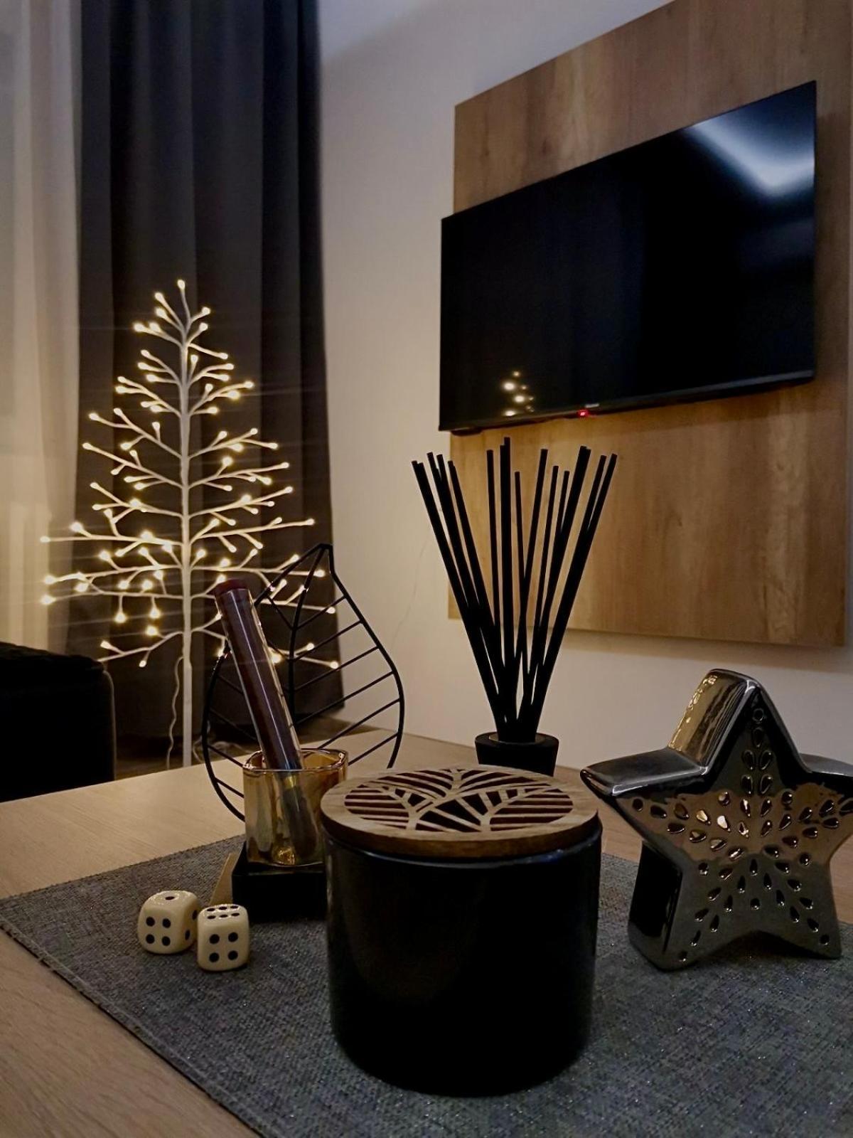 Apartments Isidora Nowy Sad Zewnętrze zdjęcie